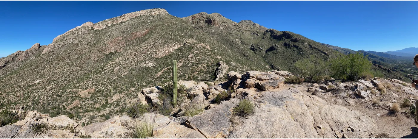 Tucson landscape